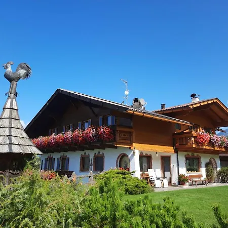 Farm stay Binterhof Alpin Deluxe App Castelrotto