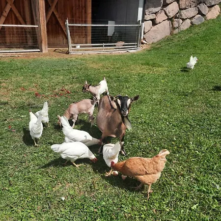 Binterhof Alpin Deluxe App Farm stay Castelrotto